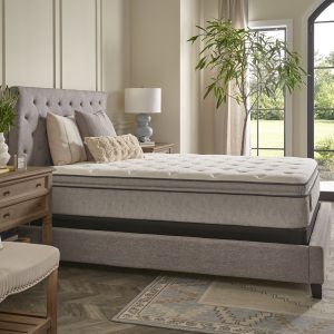 sealy 2021 essentials naked mattress